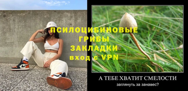 индика Пролетарск