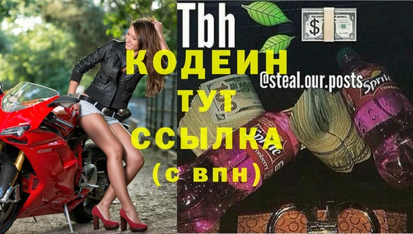 индика Пролетарск
