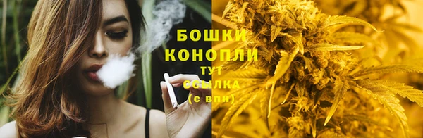 индика Пролетарск