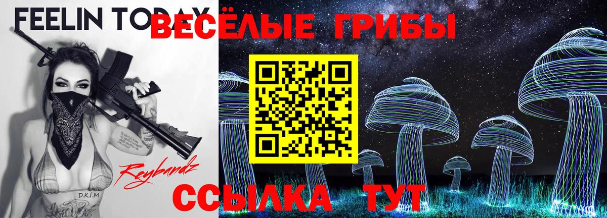 Алушта  Псилоцибиновые грибы GOLDEN TEACHER  Вход с VPN 