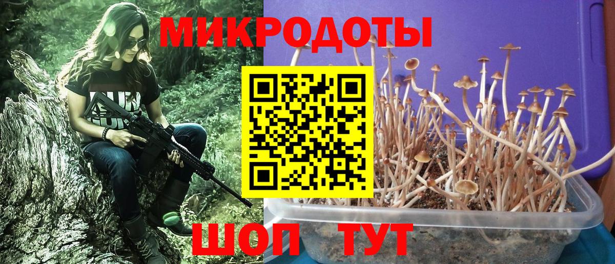 Галлюциногенные грибы Magic Shrooms  сколько стоит  Алушта 