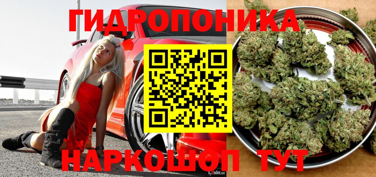 Бошки марихуана White Widow  Вход с VPN  Марихуана семена  Алушта 